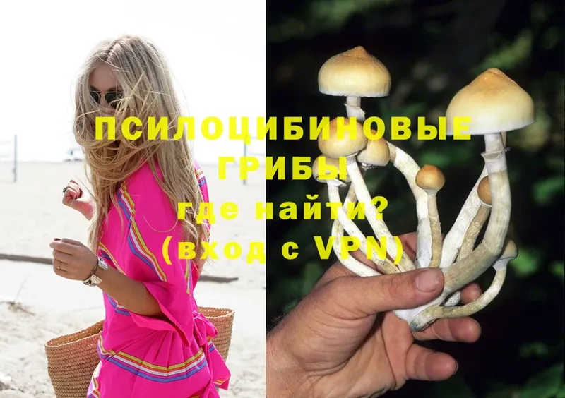 Псилоцибиновые грибы Magic Shrooms  как найти закладки  Верхний Уфалей 